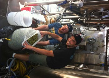 Arts & Entertainment Roundup