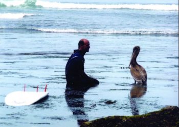 Kids’ fun zone offers magical, wondrous experience for the younger sets