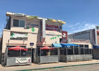 Sand, sun, and summer pet safety tips