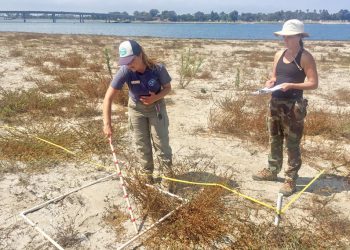 Czech violinist to perform classical concert in Point Loma