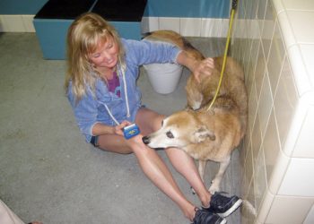 Downtown Calendar – June 2016