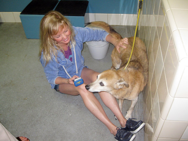 Noah's Natural Pet Market celebrates 15 years