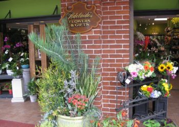 Coffee (and more) is brewing at Ooh La La Dance Academy