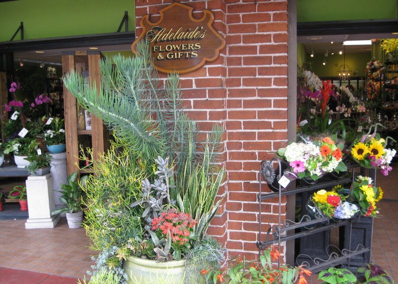 Around the Block: Girard Avenue owners mean business