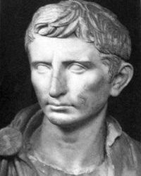 PETA offers $5,000 reward for parrot killer(s)