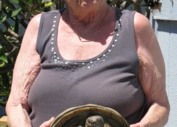 SeaWorld launches latest installment of popular ‘Summer Nights’ celebration