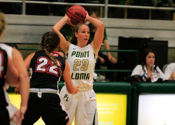 Artist makes a splash on guardrail outside skate park