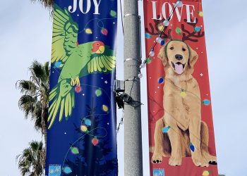 Unique pop-up dining experience coming to Liberty Station