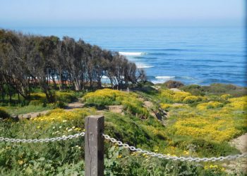 Egg hunts on the beach at Belmont Park