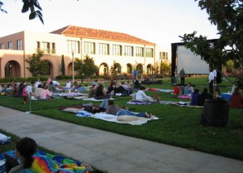 Council overhauls safety regulations at skate parks