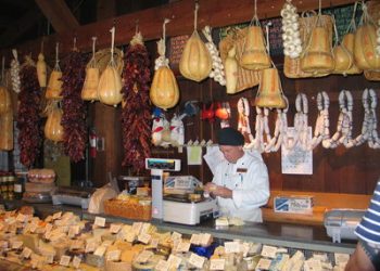 A journey through vivid panoramic landscapes