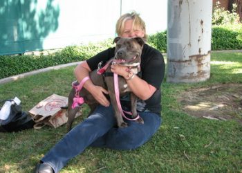 LISTENING TO YOUR ANIMALS: How to select and work with an animal communicator