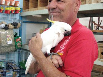 School budget deficit looms: Public invited to Dec. 9 district budget meeting