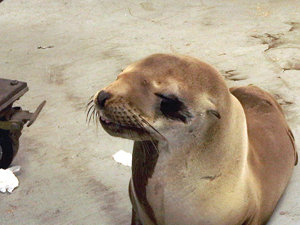 Hope for our homeless