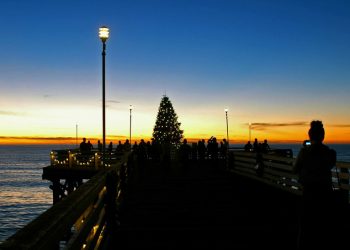 Beach & Bay Press’ 2016 Year in Review: Mission Bay plans, short-term rentals, a gum pole, and jetty cats