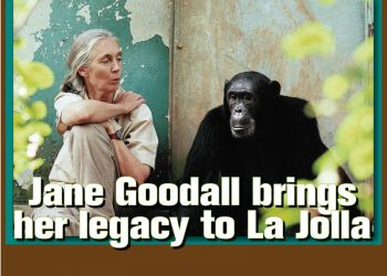 With cancer behind her, San Diegan completes 40th Rough Water Swim