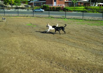 PB welcomes a blast from the past