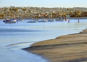 Padres agree to contract terms with 31 players