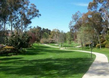 San Diego ex-attorney, La Jolla resident, dead in apparent suicide