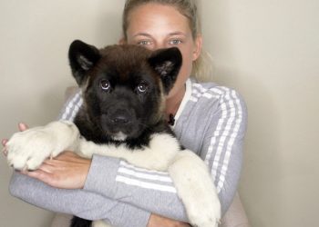 Inaugural San Diego Sneaks Summer Classic held in La Jolla