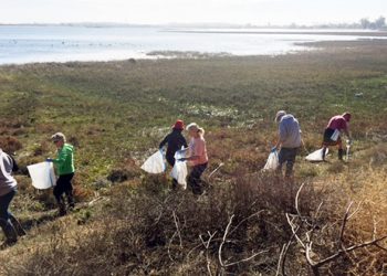 Campers tidy up Kendall-Frost Marsh Reserve