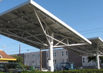 2012 San Diego Bird Festival to soar at Mission Bay in four-day installment