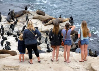 North PB Sip ’N Stroll is back and bigger than ever