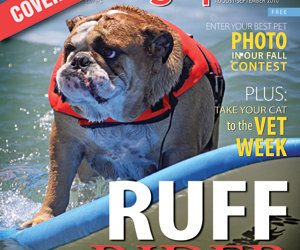 Join the 3 Dog Walk for the Cure