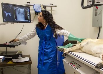 Caltrans project to close I-805 at La Jolla Village Drive