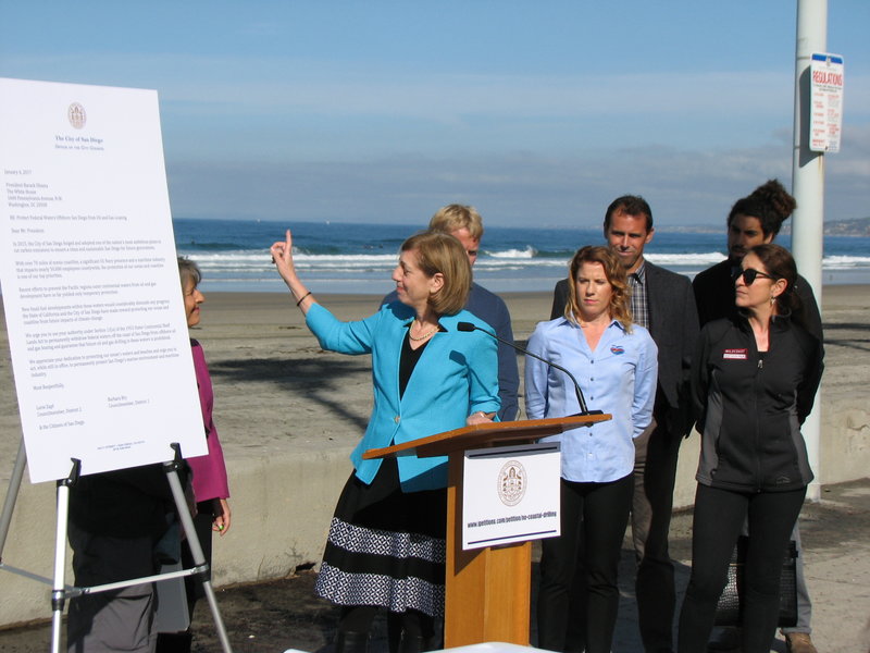 Councilmember Barbara Bry champions grassroots governance