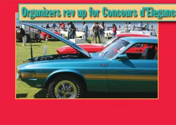 Letter to the Editor