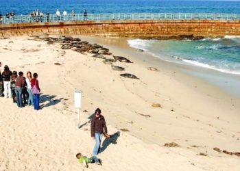 View from 52: Officers in UC take public involvemen to hear