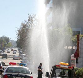 Community Calendar 11/12/09