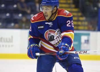 Disabled vet pleads guilty in vehicular death