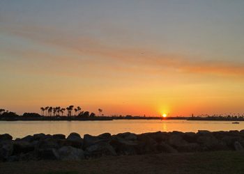 La Jolla resident to participate in walk against domestic abuse