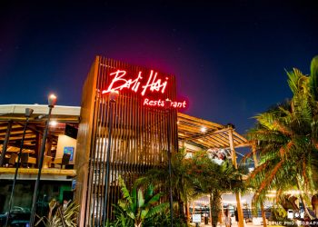 Project Wildlife gets influx of seabirds after rain