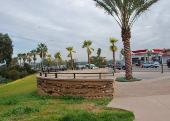 City: canine pollutants marring Dog Beach’s illustrious exterior