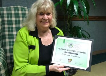 Hit-and-run driver in Point Loma objects to bail increase