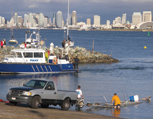 Hey, you ’guana take a dip?