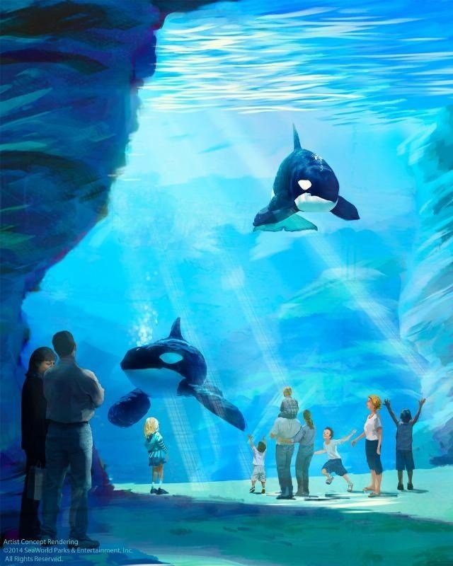 SeaWorld argue virtues, demerits on planned expansion of orca habitat