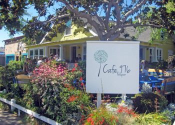 Independent films triumph at San Diego International Film Festival in La Jolla and downtown