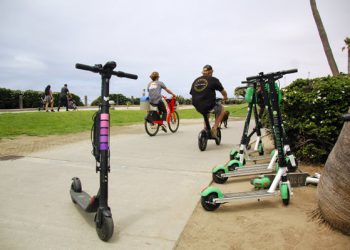 100-plus birds available for adoption at San Diego Humane Society