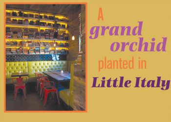 An ambassador for animals from A to Z