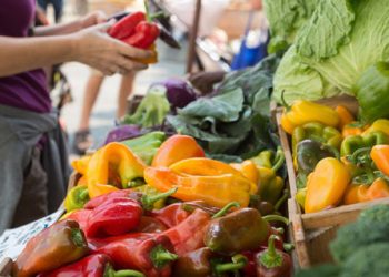 Community briefs for Pacific Beach and Mission Beach