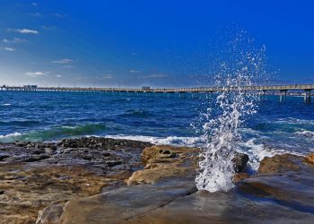 Ocean Beach Holiday Parade celebrates California Dreamin’ in the Season of Love