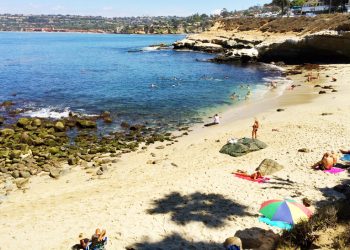 Needs, strengths and commitments