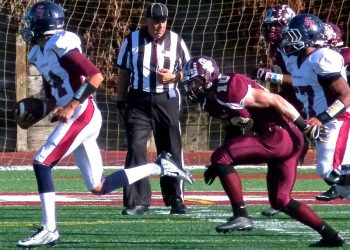 Daniel Anderson has a head on some very big shoulders