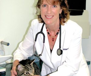 Join the 3 Dog Walk for the Cure