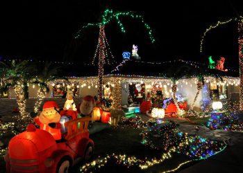 Ocean Beach's MohaviSoul is area's best kept secret