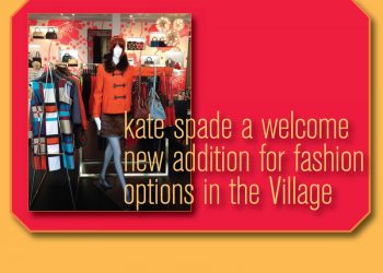 Yard-sign thefts frustrate voters in the Shores